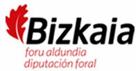 Diputación foral de Bizkaia